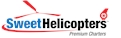 A&P Helicopter Mechanic - IA Preferred